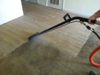 Carpet Sewage Cleaning Service Adelaide image 1